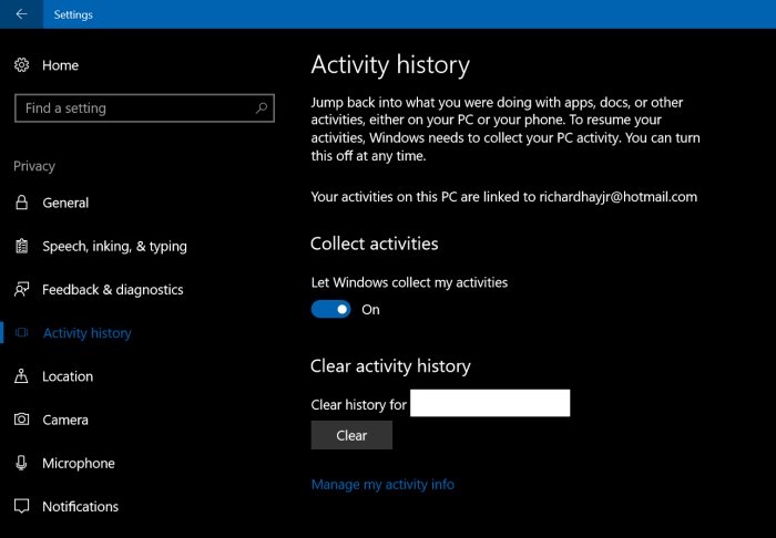 Activity History page under Settings → Privacy. 