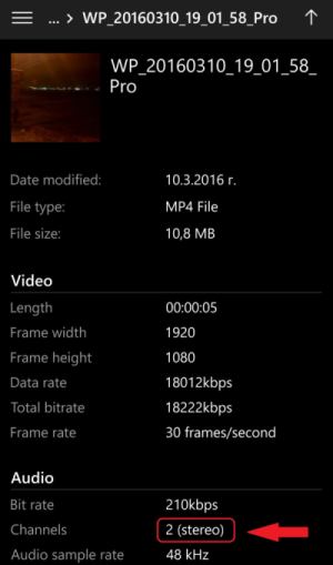 Windows Camera Stereo audio