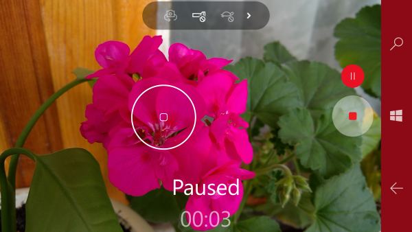 windows camera 10 video pause