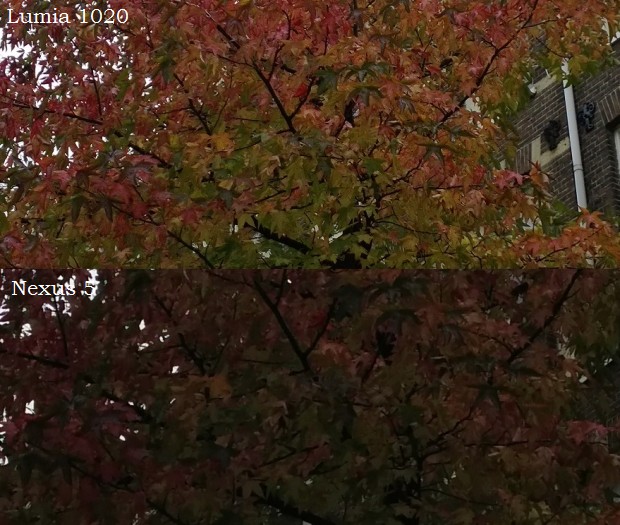 Google Nexus 5 against the Nokia Lumia 1020 daylight