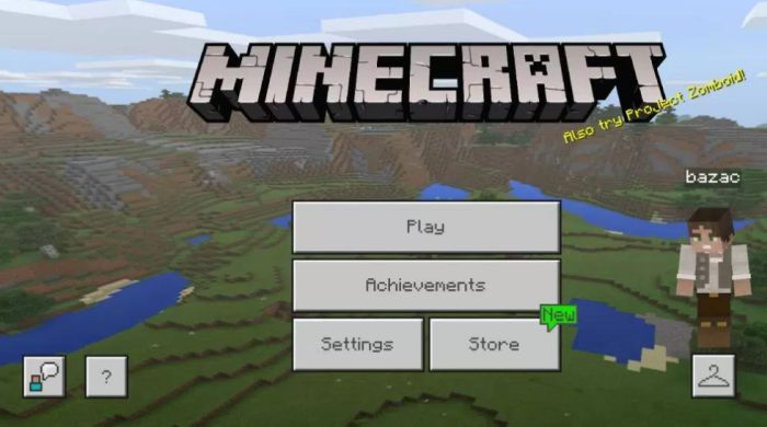 MineCraft