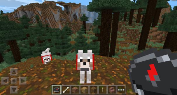 Minecraft