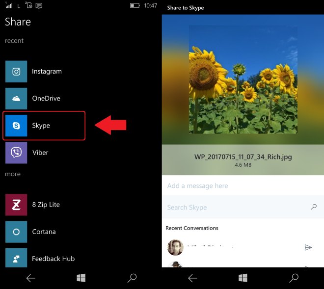 Skype Share UI
